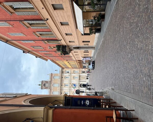 IMG_7968 IMG_7968